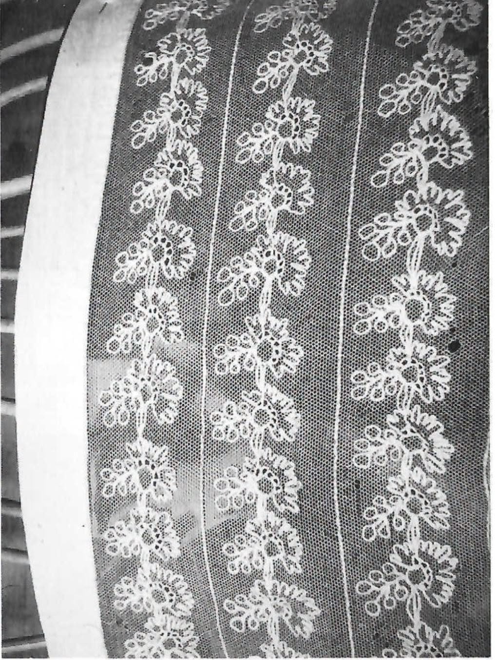 Blondesnipp/Pannelin kit-Finnøy