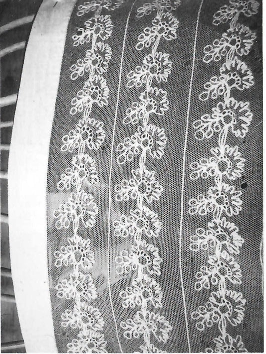 Blondesnipp/Pannelin kit-Finnøy