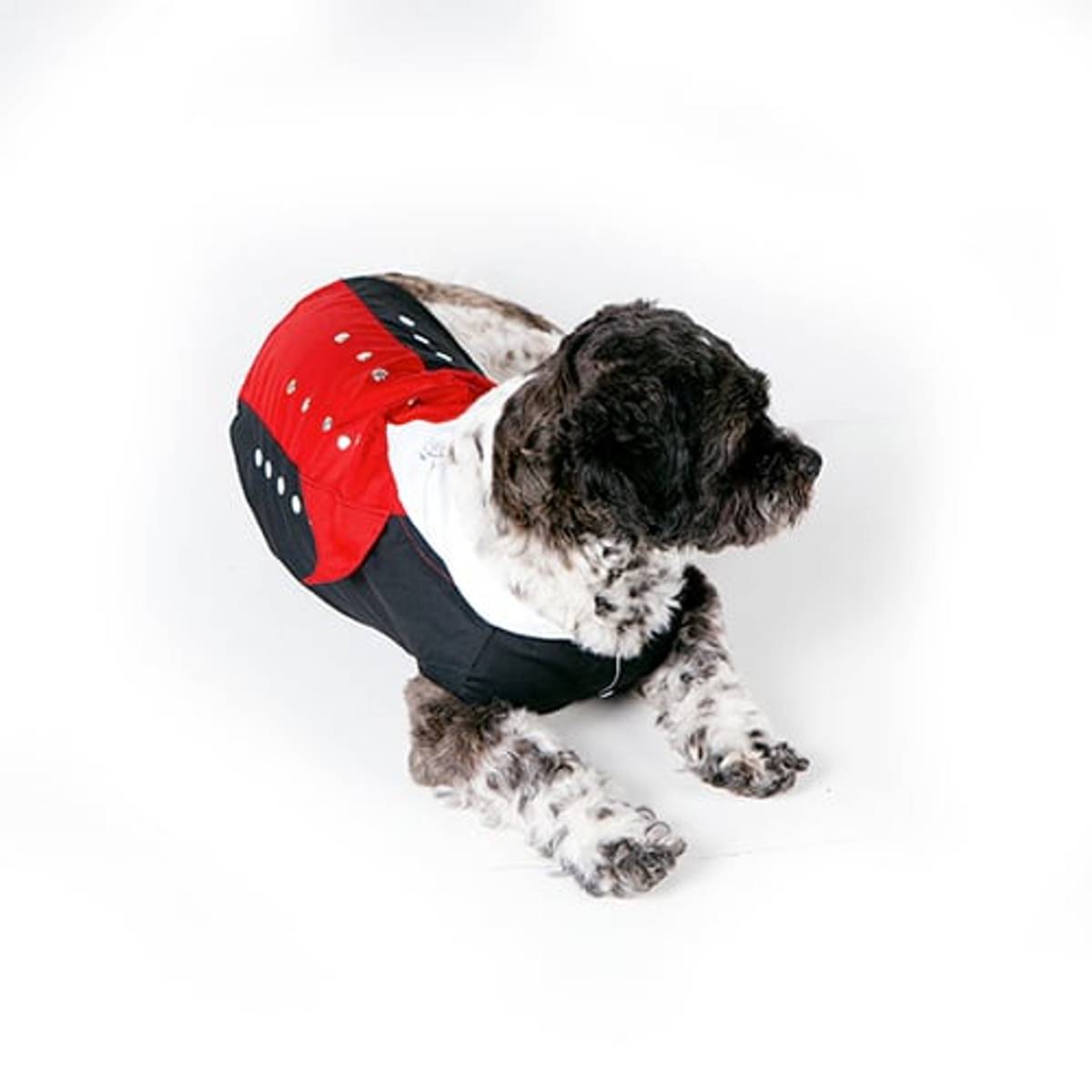 Dog Bunad-Hardanger-male