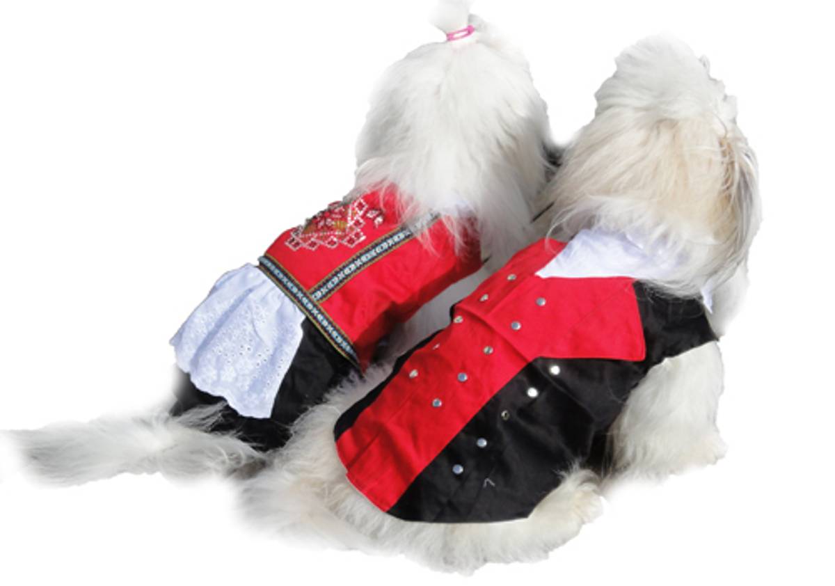 Dog Bunad-Hardanger-male