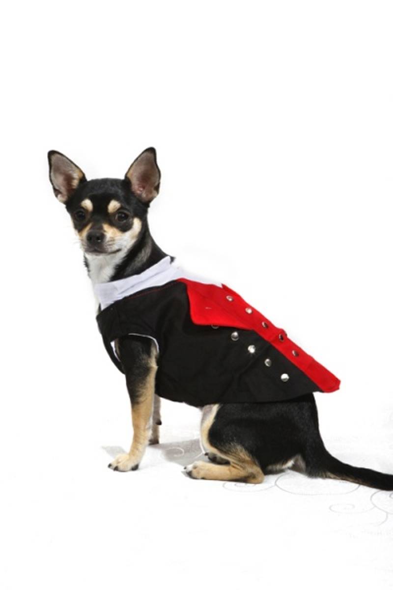 Dog Bunad-Hardanger-male